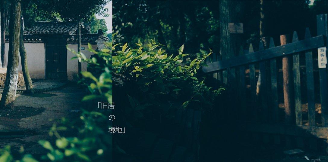 猫和老鼠官方手游
