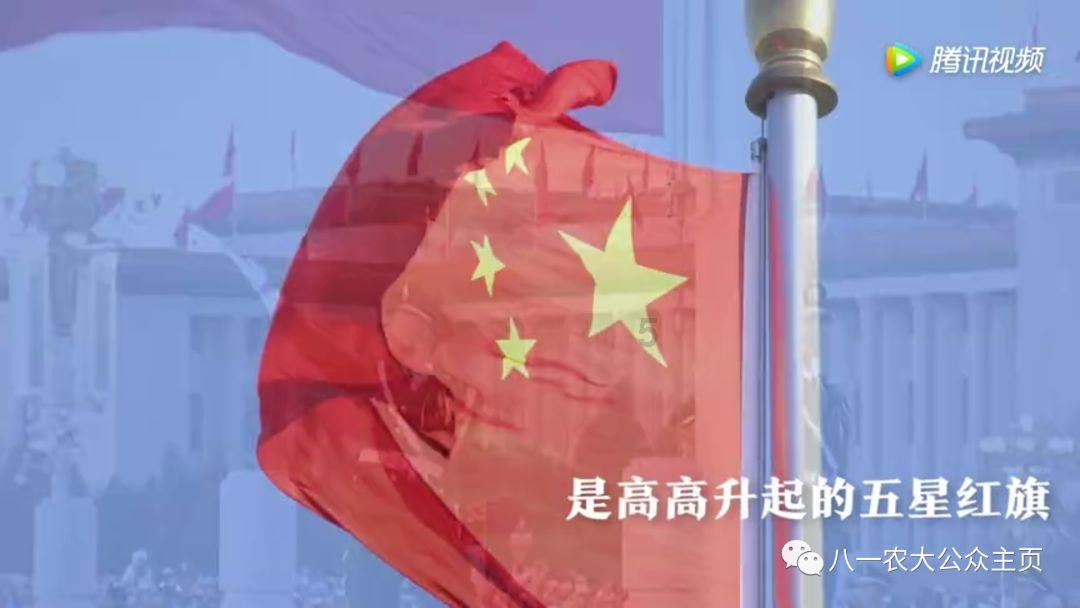 9类危险品电动平衡车如何正确出口?