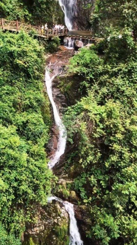 探索知识星球平台——皇帝成长计划 鲛人泪,汇聚大师认知