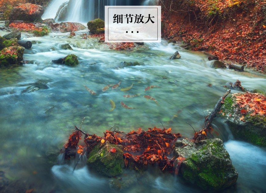 招聘丨1530人！公务员！户籍不限