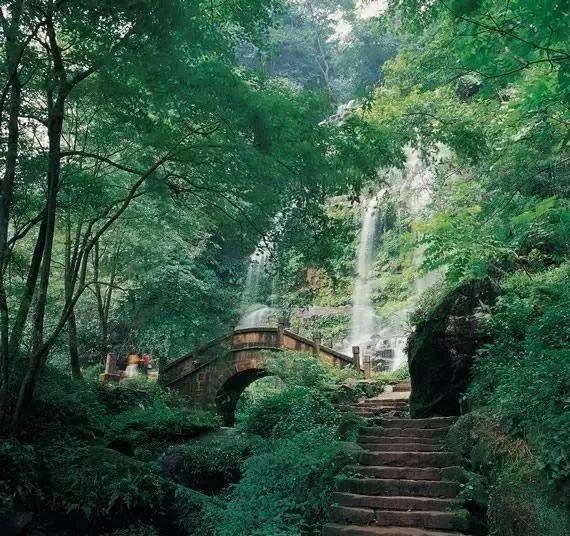 2024春节,一起到深圳罗湖“寻宝”