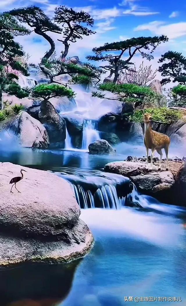 旋转的圆球