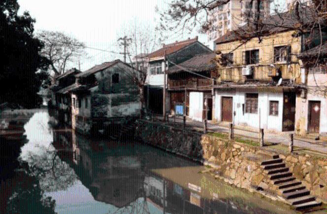 银发经济一号文与健康老龄化十年:世卫组织ICOPE整合照护实践的中国答卷