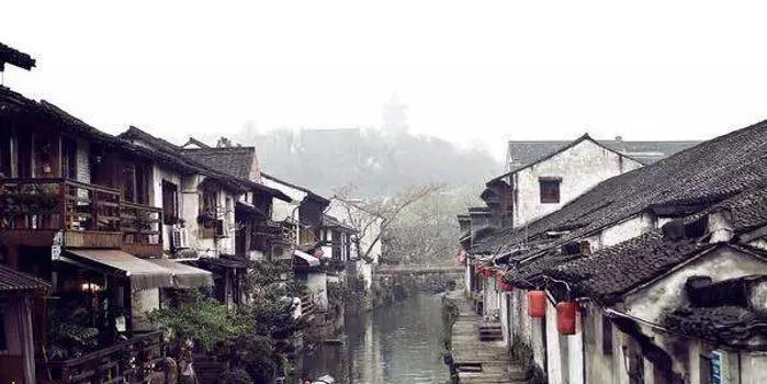 植物大战僵尸17