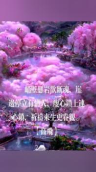 逗小猴开心系列212